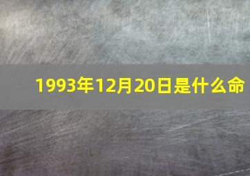 1993年12月20日是什么命,<body>