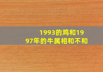1993的鸡和1997年的牛属相和不和,<body>