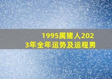 1995属猪人2023年全年运势及运程男,1995年出生属猪人2023年全年运势生肖猪兔年每月运势