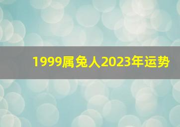 1999属兔人2023年运势,1999年属兔人2023年运势运程24岁属兔人的运势