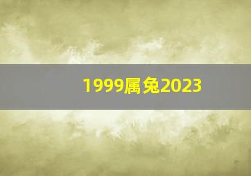 1999属兔2023