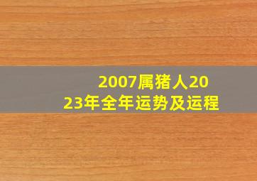 2007属猪人2023年全年运势及运程,2007年属猪2023年运势及运程每月运程