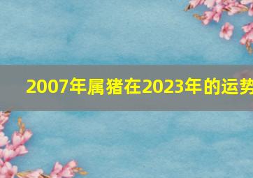 2007年属猪在2023年的运势,2007年属猪2023年运势及运程每月运程