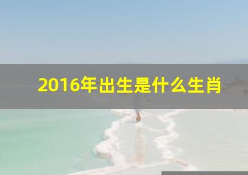 2016年出生是什么生肖,16年属什么