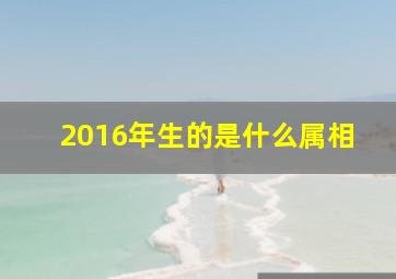 2016年生的是什么属相,<body>