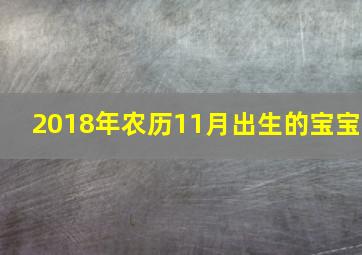 2018年农历11月出生的宝宝,2018年农历十一月十一日出生的宝宝属于什么星座