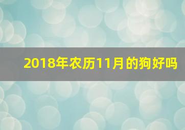2018年农历11月的狗好吗,2018年农历十一月二十三阳历12月29号早0823出生的娃是什么命怎么起名字