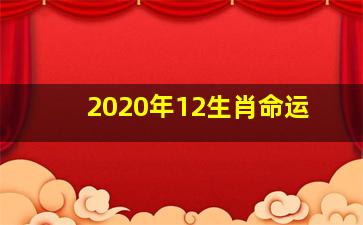 2020年12生肖命运,2020年十二生肖整体运势