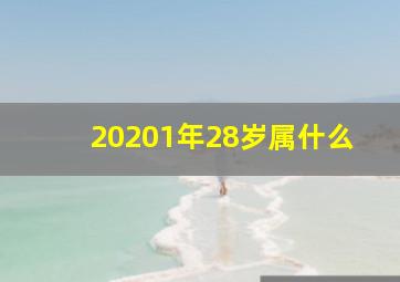 20201年28岁属什么,28岁是什么属相