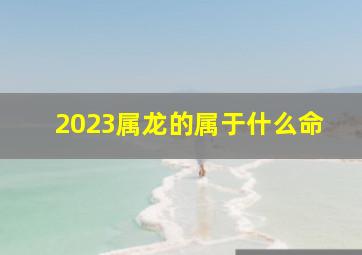 2023属龙的属于什么命,12年的属龙男命2023年运势详解大全详细剖析
