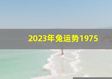 2023年兔运势1975,1975属兔48岁以后运气如何