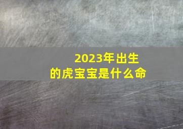 2023年出生的虎宝宝是什么命,2023年1月14日北小年出生的虎宝宝好吗怎么样