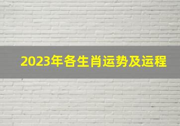 2023年各生肖运势及运程,各生肖2023年运势