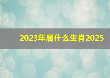 2023年属什么生肖2025,2025年什么属相