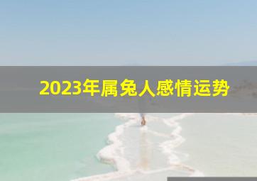 2023年属兔人感情运势,属兔的下半年桃花运怎样样2023不太敌对