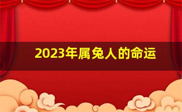 2023年属兔人的命运,2023兔年什么命