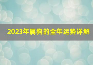 2023年属狗的全年运势详解,2023年属狗人的命运