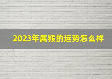 2023年属猴的运势怎么样,2023年属猴运势