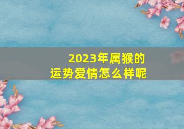 2023年属猴的运势爱情怎么样呢,2023年属猴运势