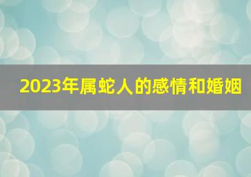 2023年属蛇人的感情和婚姻,2023年属蛇人姻缘婚恋运势