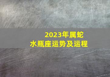 2023年属蛇水瓶座运势及运程,属蛇在2023的运程是怎样的