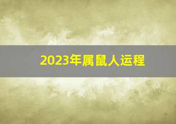 2023年属鼠人运程,2023年属鼠人的全年运势如何