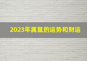 2023年属鼠的运势和财运,属鼠2023年的运势及运程