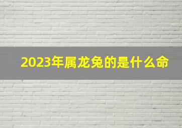 2023年属龙兔的是什么命,2023年属兔的是什么命详解属兔人的性格特点与运势