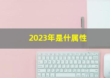 2023年是什属性