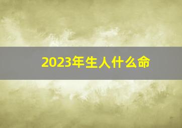2023年生人什么命,2023的兔是什么命好不好