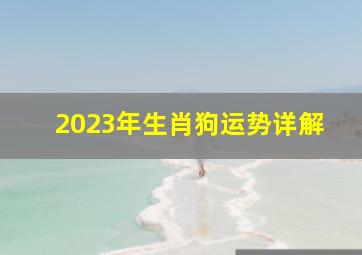 2023年生肖狗运势详解,2023年对属狗的人好不好2023年狗年运势及运程