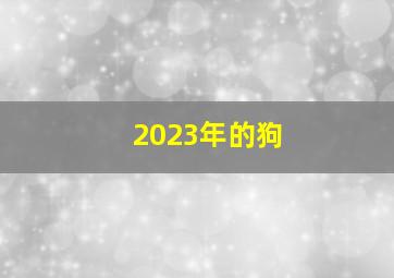 2023年的狗,属狗2023年的运势