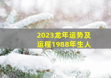 2023龙年运势及运程1988年生人,35岁1988年出生的属龙男命2023年上半年运气如何运势详解