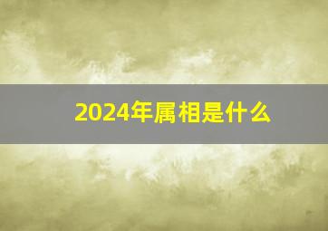 2024年属相是什么,2024年属相是什么4月3号宜扫墓吗2024