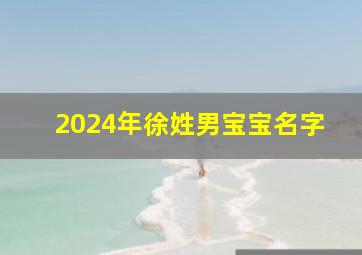 2024年徐姓男宝宝名字