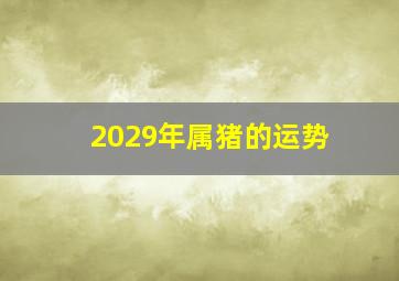 2029年属猪的运势,