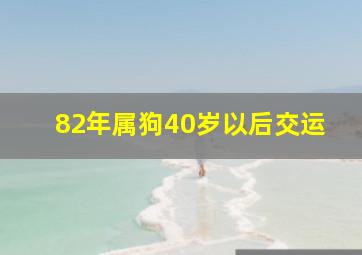 82年属狗40岁以后交运,82年狗40岁后十年大运运程