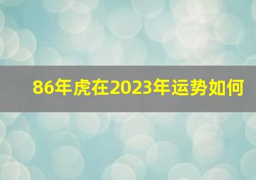 86年虎在2023年运势如何,86年男虎2023年运势完整版