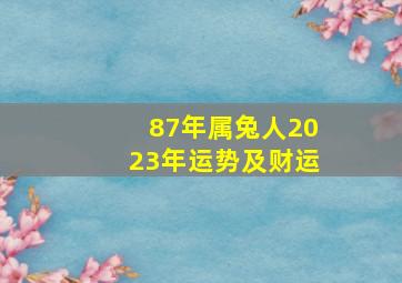 87年属兔人2023年运势及财运,87年兔2023年的运势