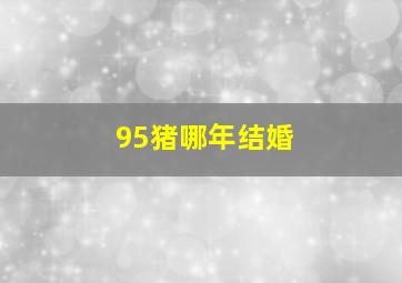95猪哪年结婚,95属猪哪一年结婚最好