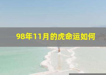 98年11月的虎命运如何,